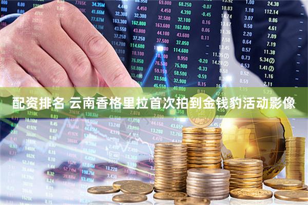配资排名 云南香格里拉首次拍到金钱豹活动影像