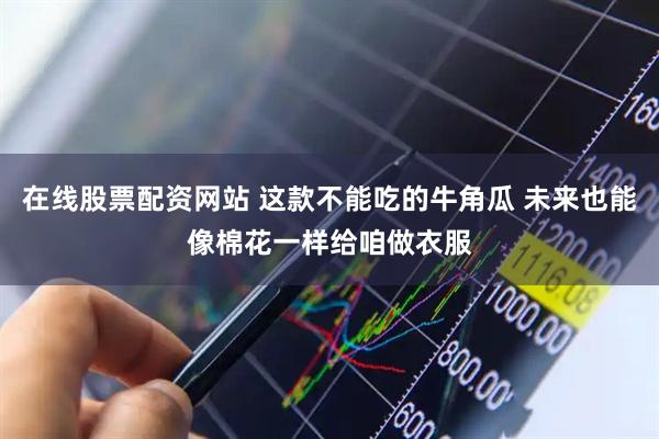 在线股票配资网站 这款不能吃的牛角瓜 未来也能像棉花一样给咱做衣服